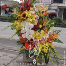  Hoa tươi Hoàng Tâm - belovedbeyond.com